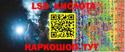 винт Новокубанск