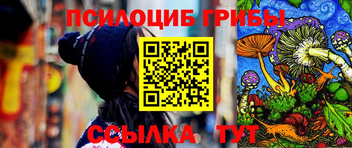 купить наркотики цена  Вход с VPN  Шатура  Псилоцибиновые грибы мицелий  Галлюциногенные грибы прущие грибы 